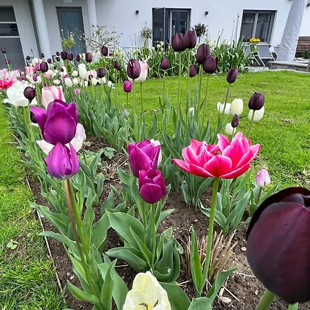 Park Apartamento Nodendorf
